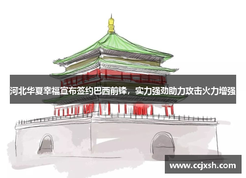 河北华夏幸福宣布签约巴西前锋，实力强劲助力攻击火力增强