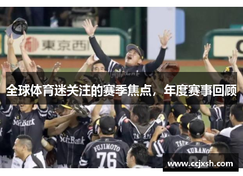 全球体育迷关注的赛季焦点，年度赛事回顾